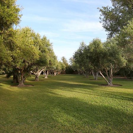 מרקש Villa Dar Challa מראה חיצוני תמונה